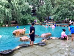 -大鹅岛绿色生态美食园
