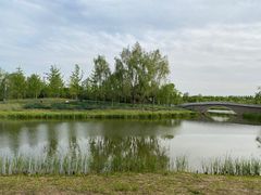-东郊湿地公园