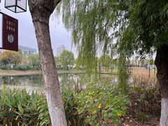 -金银湖国家城市湿地公园