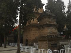 -兴教寺