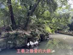 -兰亭风景区