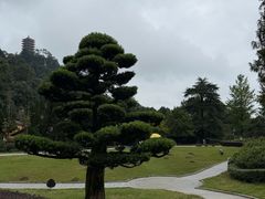 -缙云山景区