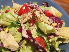 田园蔬菜沙拉-404干式熟成牛排馆•聚会餐厅