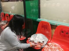 -猫咪博物馆(顶澳仔猫街店)