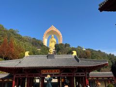 -庐山风景名胜区-东林大佛