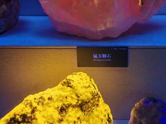 -湖南省地质博物馆