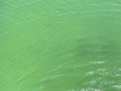 -清溪水库