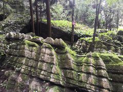 -梭布垭石林景区