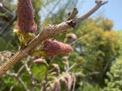 -南山风景名胜区