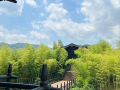 -大唐贡茶院