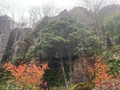 -山王坪喀斯特国家生态公园