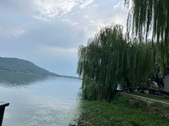 -董厨煨汤馆(车站路店)