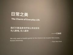 -知美术馆