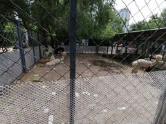 -长白岛森林公园