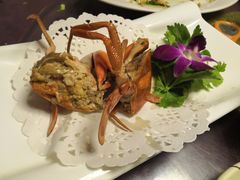 -友强·23年特色海鲜大排档(厦门店)