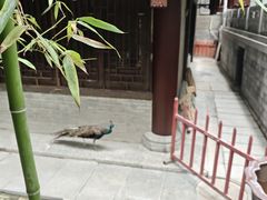 -罔极寺