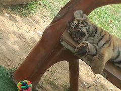 -大连森林动物园