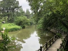 景点-宝岩生态观光园