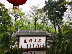 -都江堰景区