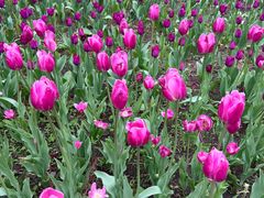 -长春公园(普阳街道)