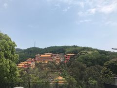 -东莞市大岭山森林公园