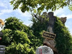 -大槐树寻根祭祖园