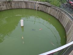 -隔田烧鸡