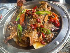 -小杨酒家(华苑小区店)