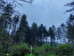 -硗碛藏寨·神木垒景区