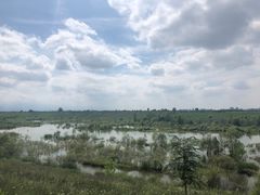 -黑河国家森林公园