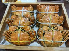 -黄记大闸蟹专卖店·活蟹·醉蟹