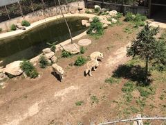 -石家庄市动物园