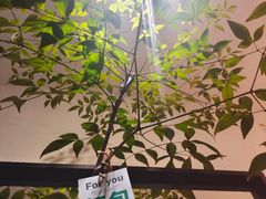 -Joymean coffee.见面咖啡