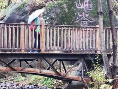 -云岫谷游猎自然风景区