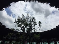 -The Ring Pavilion 魔幻森林