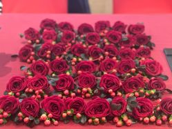 -金茂深圳JW万豪酒店·宴会厅