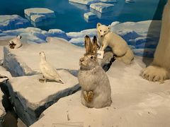 -陕西自然博物馆