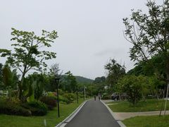 -沙美村