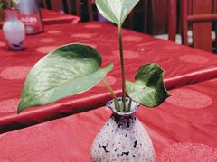 -大妙火锅·非物质文化遗产(锦里店)