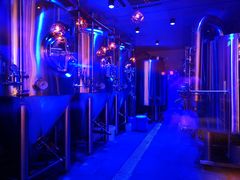 -Ambra Haus琥珀屋精酿餐厅(宝山店)