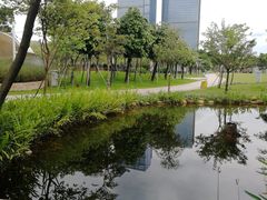-海珠儿童公园