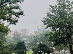 -中国人民大学-博物馆