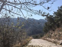 -太和山风景区