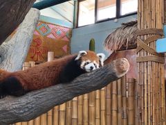 -石家庄市动物园