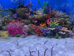 -成都浩海立方海洋公园