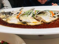 -丹江渔村(望京店)