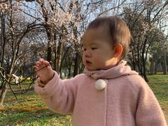 -蜀冈西峰生态公园