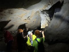 -银峰农庄·特色烧鸡·鲜无花果浸鸡