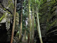 -梭布垭石林景区