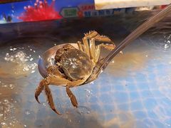 -亚马逊海鲜自助(梅溪湖步步高店)